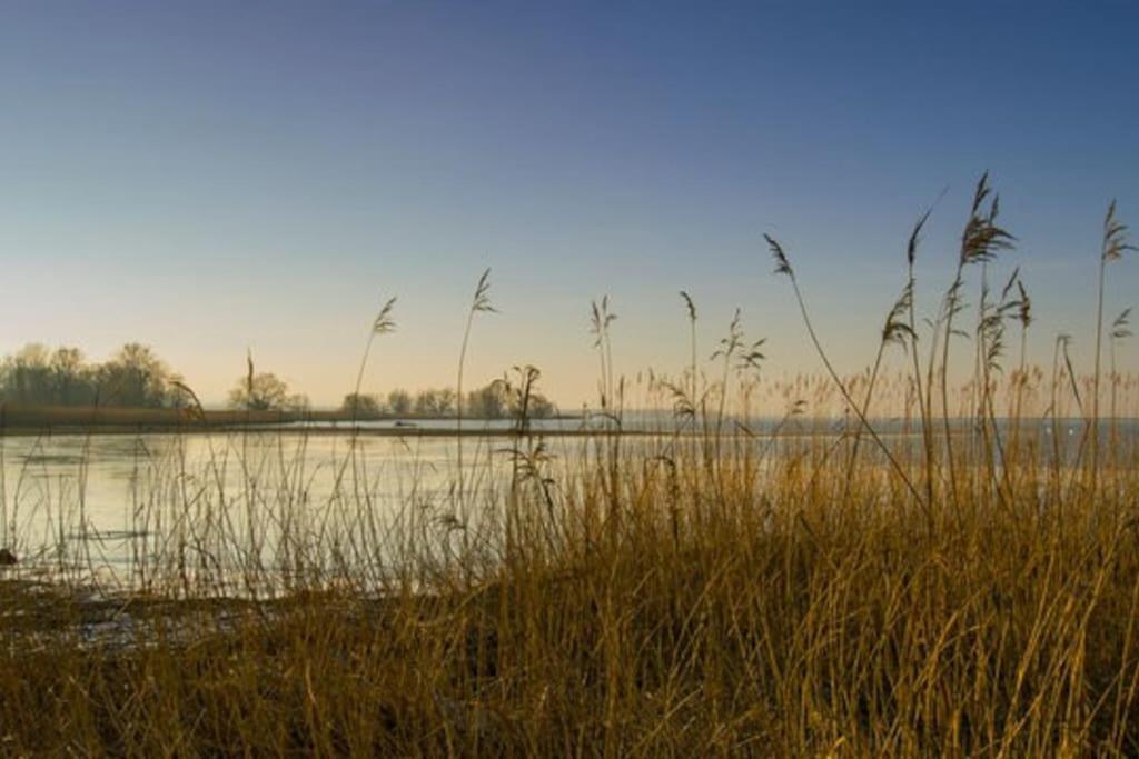 Bodensee Apartments, Sauna, Lake Walks, Free Parking, Self Checkin, Nature Reserve, Restaurants Nearby Gaissau  Exteriér fotografie
