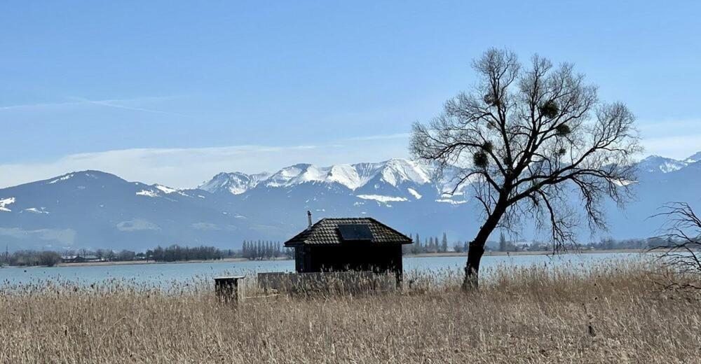 Bodensee Apartments, Sauna, Lake Walks, Free Parking, Self Checkin, Nature Reserve, Restaurants Nearby Gaissau  Exteriér fotografie