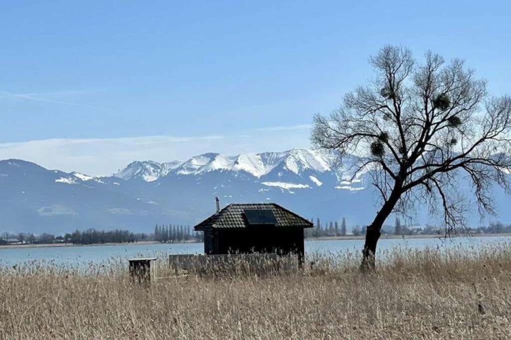 Bodensee Apartments, Sauna, Lake Walks, Free Parking, Self Checkin, Nature Reserve, Restaurants Nearby Gaissau  Exteriér fotografie
